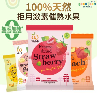 有益寶寶100%天然水果片 +12個月