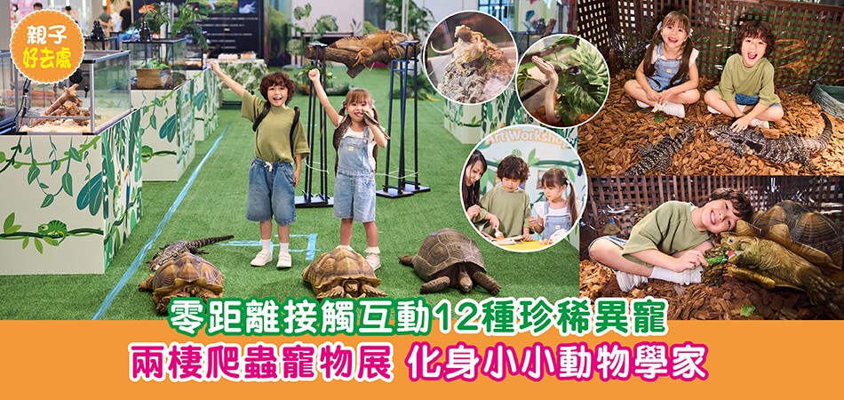 暑假好去處2025|零距離接觸互動12種珍稀異寵 兩棲爬蟲寵物展 化身小小動物學家 暑假好去處2025|零距離接觸互動12種珍稀異寵 兩棲爬蟲寵物展 化身小小動物學家