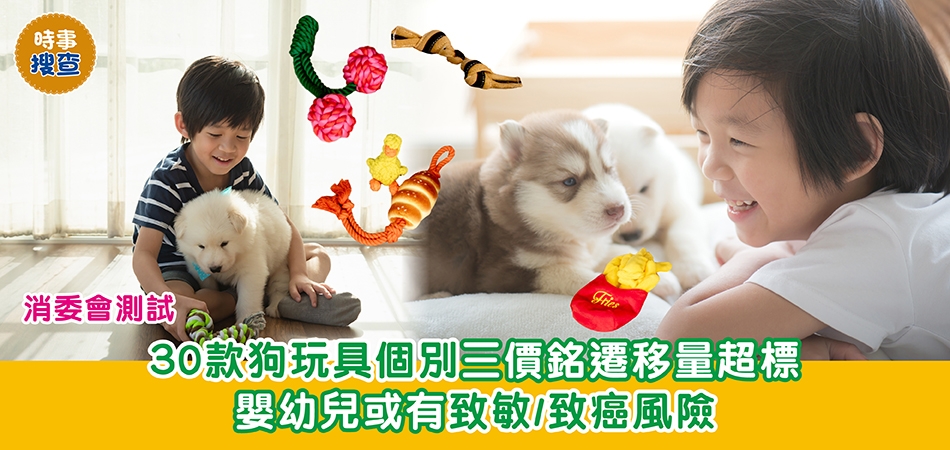 消委會測試｜30款狗玩具個別三價銘遷移量超標 嬰幼兒或有致敏/致癌風險