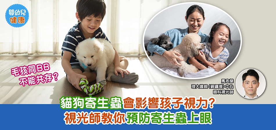 眼睛健康｜毛孩同BB不能共存？貓狗寄生蟲會影響孩子視力？視光師教你預防寄生蟲上眼
