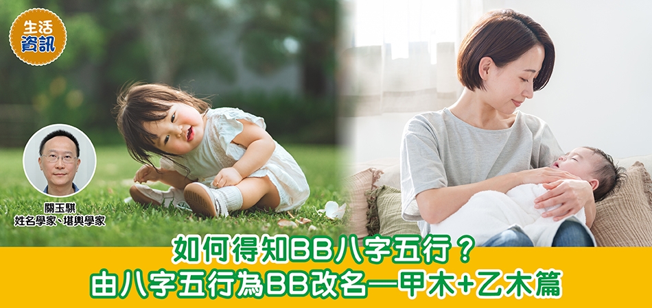BB改名｜如何得知BB八字五行？由八字五行為BB改名—甲木+乙木篇